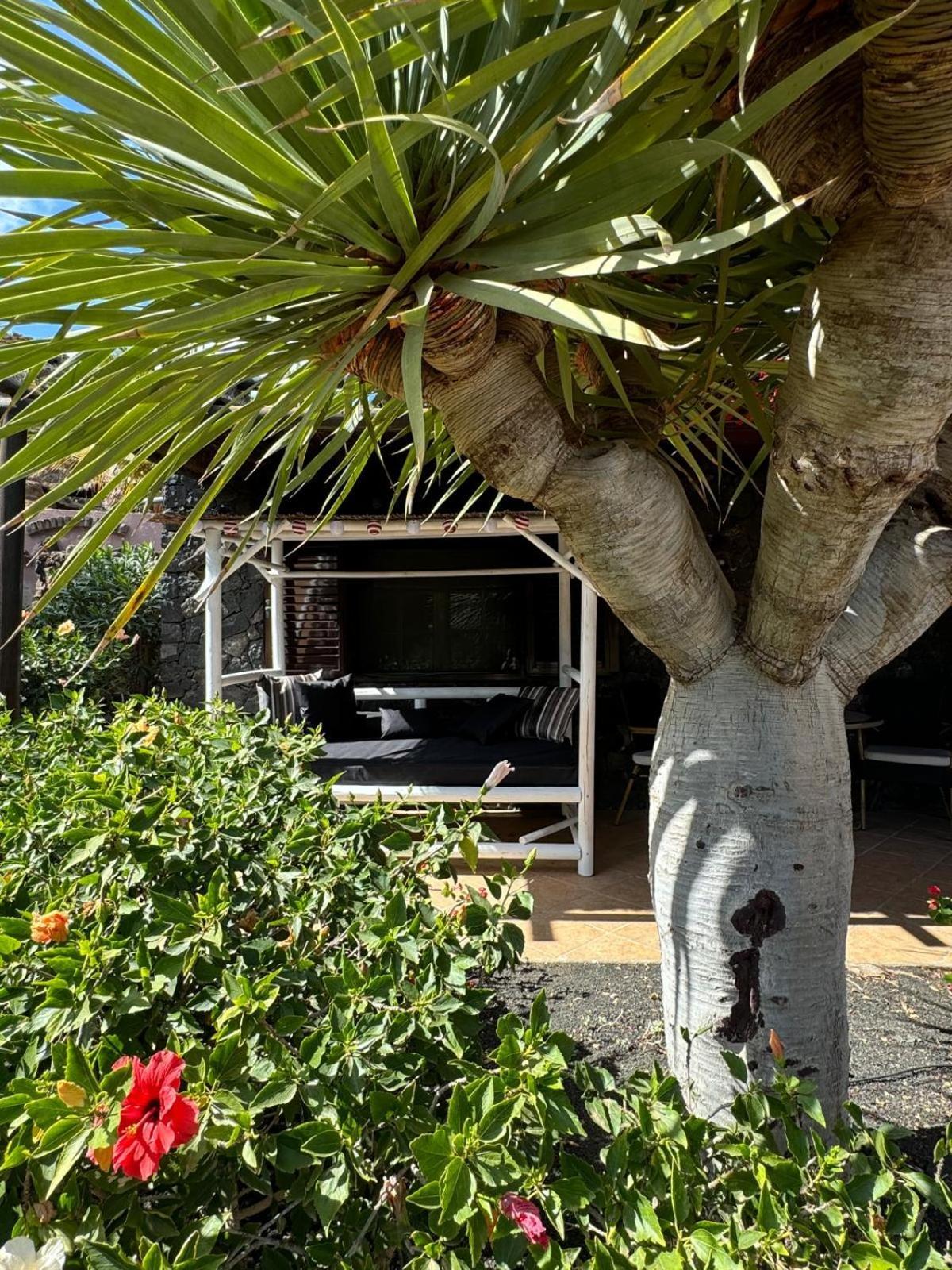 Castillo Lanzarote Villa Bailey - Luxury Villa - Pet Friendly With Heated Pool La Asomada  المظهر الخارجي الصورة