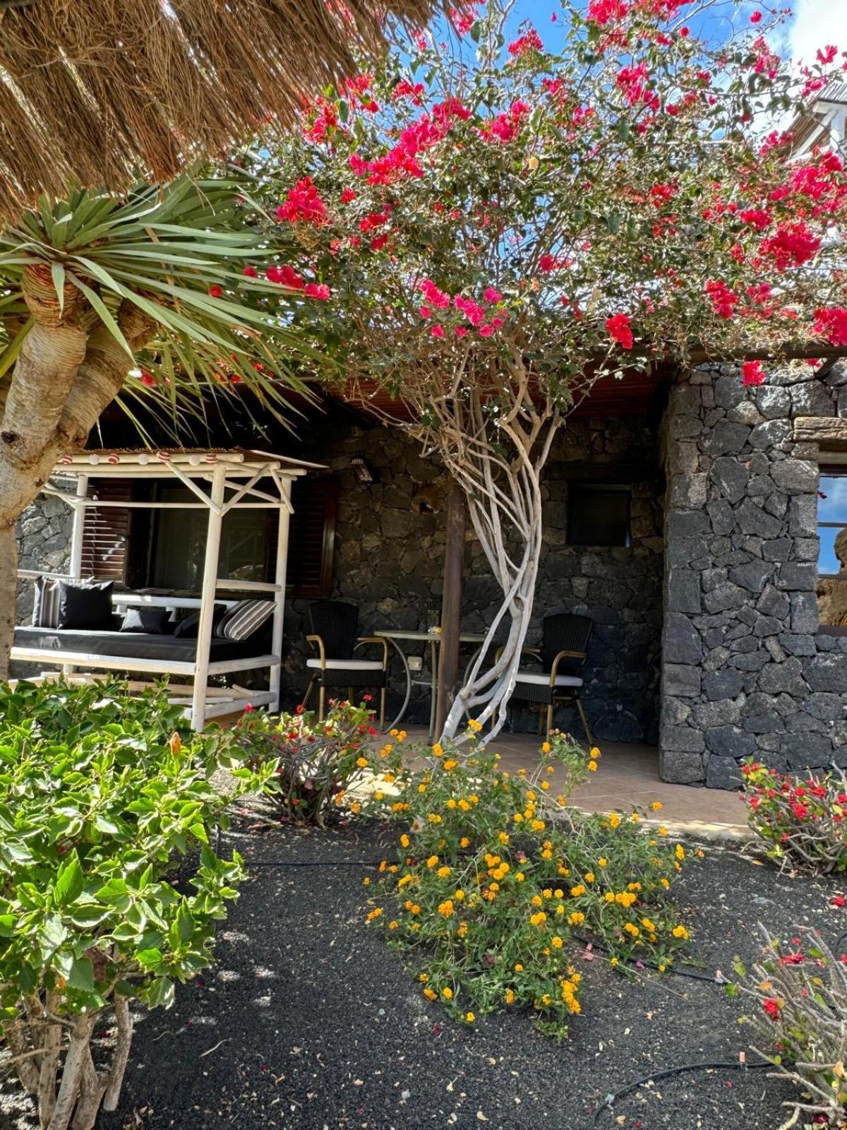Castillo Lanzarote Villa Bailey - Luxury Villa - Pet Friendly With Heated Pool La Asomada  المظهر الخارجي الصورة