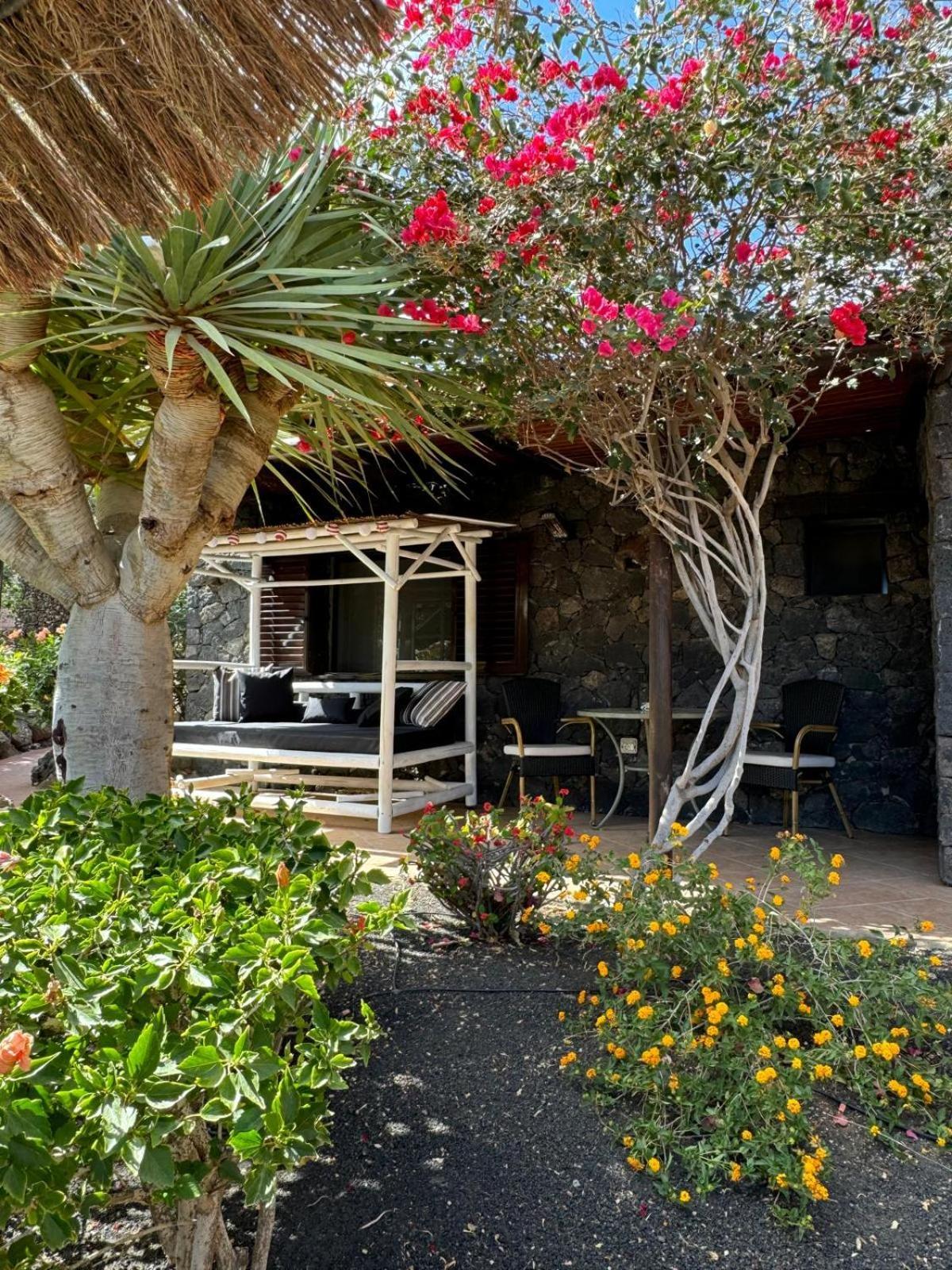 Castillo Lanzarote Villa Bailey - Luxury Villa - Pet Friendly With Heated Pool La Asomada  المظهر الخارجي الصورة