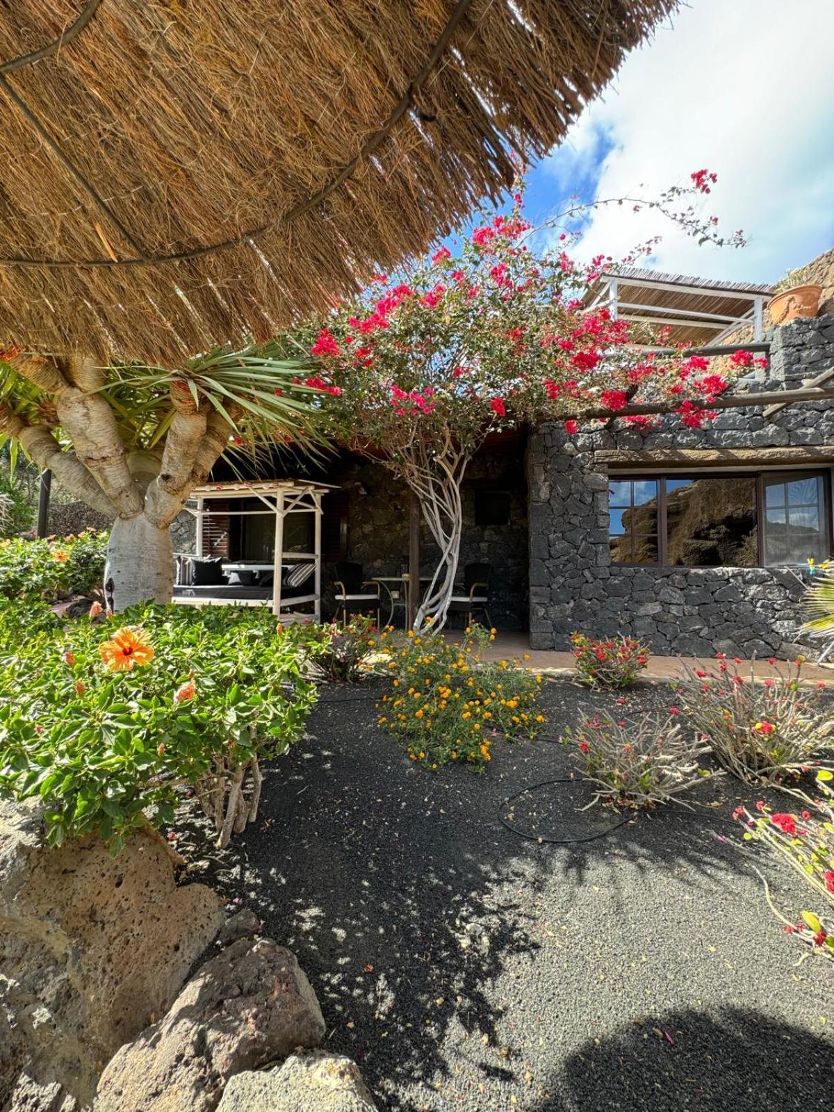 Castillo Lanzarote Villa Bailey - Luxury Villa - Pet Friendly With Heated Pool La Asomada  المظهر الخارجي الصورة